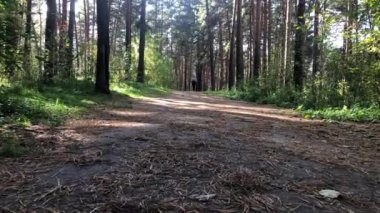 Gündüz vakti bir kadın sonbahar ormanında koşar..