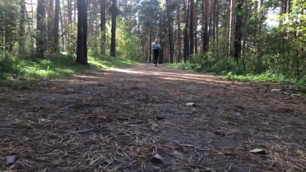 一个女人白天在秋天的森林里奔跑. — 图库视频影像
