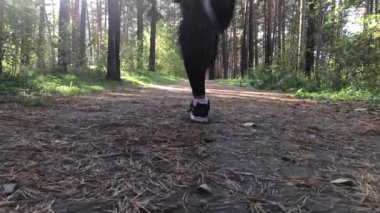 Gündüz vakti bir kadın sonbahar ormanında koşar..