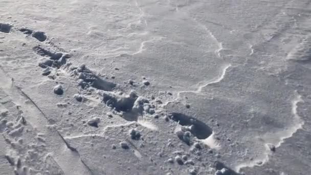 Impronte di un uomo su una strada bianca invernale. — Video Stock