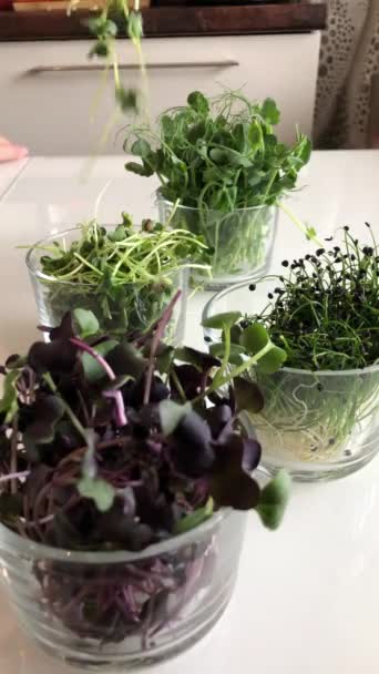 Mooie gezonde spruitjes in glasplaten op tafel — Stockvideo