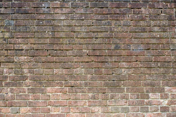 Brick Wall Natural Color Background — Stock Photo, Image