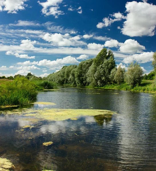 Lato — Zdjęcie stockowe