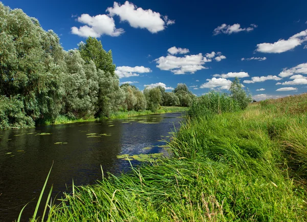 Lato — Zdjęcie stockowe