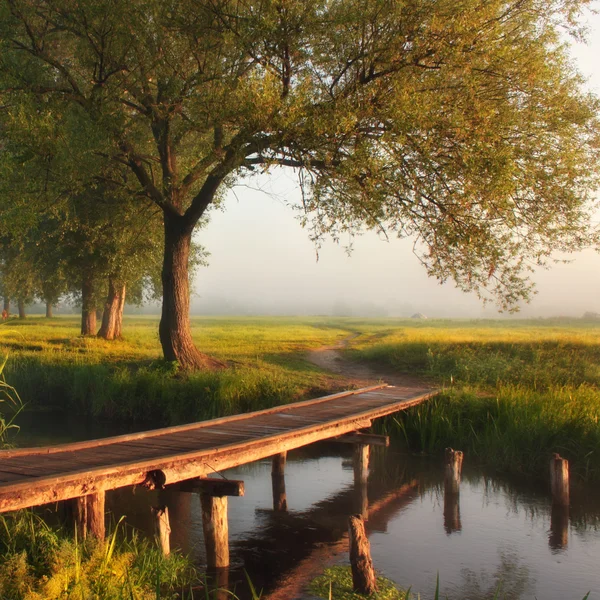 Aube sur la rivière — Photo