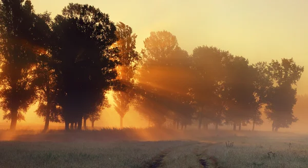 Amanhecer — Fotografia de Stock