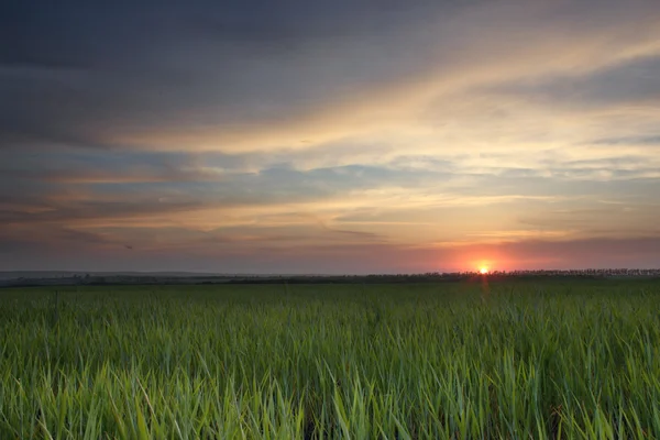 Puesta de sol —  Fotos de Stock