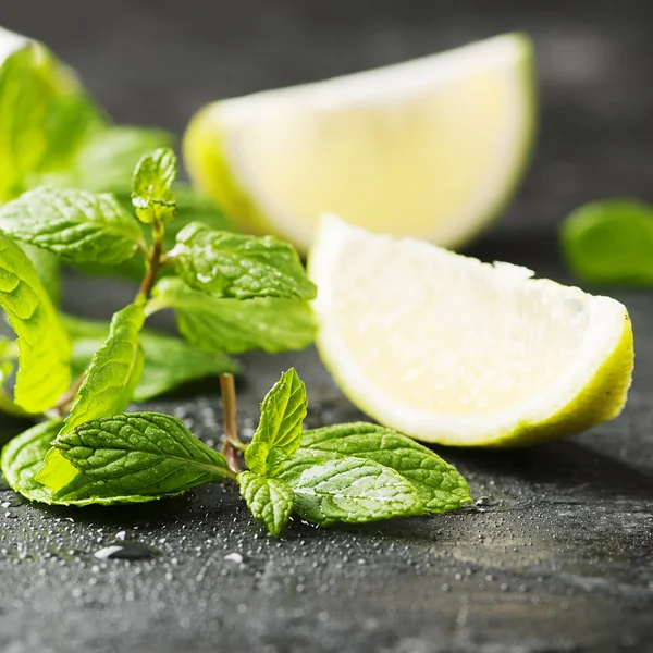 Limón fresco y menta verde — Foto de Stock