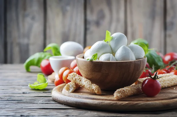 Domates ve fesleğen ile İtalyan Mozzarella peyniri — Stok fotoğraf