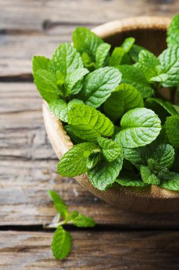 Yeşil taze nane