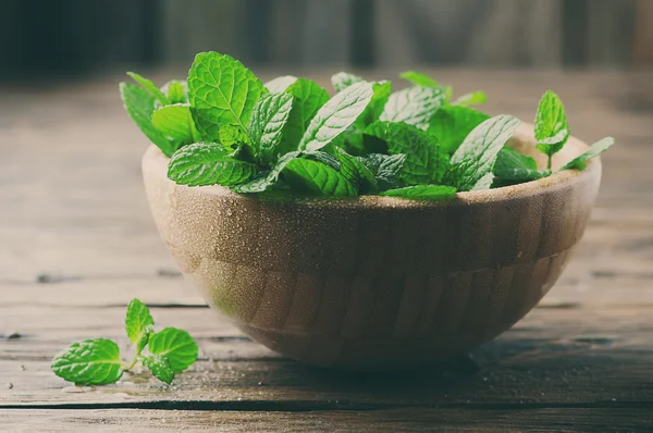 Green fresh mint — Stock Photo, Image