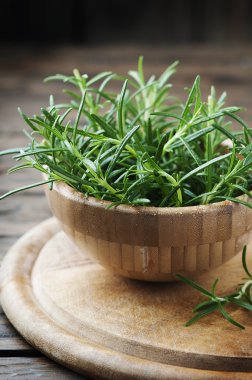 Taze yeşil aromatik biberiye