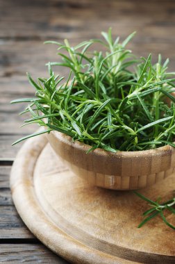 Taze yeşil aromatik biberiye