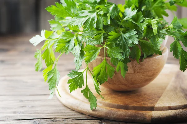 Salsa fresca verde na mesa — Fotografia de Stock