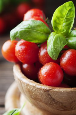 Sağlıklı domates ve fesleğen 