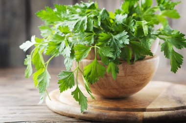 Yeşil taze maydanoz 