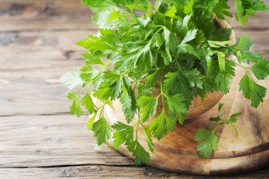 Yeşil taze maydanoz 