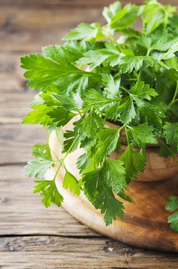 taze yeşil maydanoz