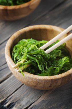 Geleneksel Japon chuka salata