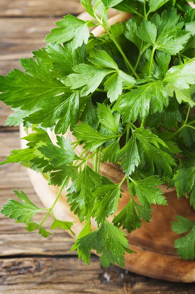 Salsa fresca verde — Fotografia de Stock