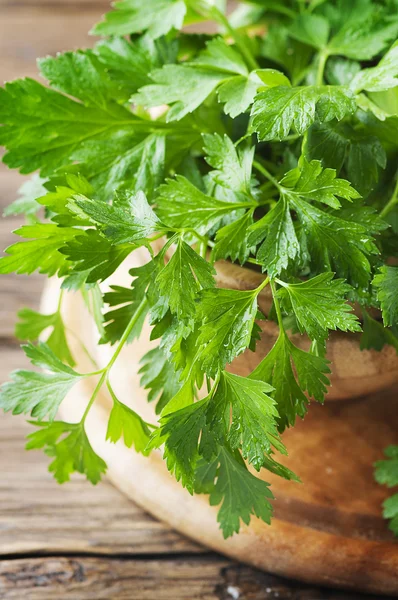 Salsa fresca verde — Fotografia de Stock