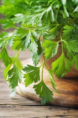 Ahşap masa üzerinde yeşil taze maydanoz 