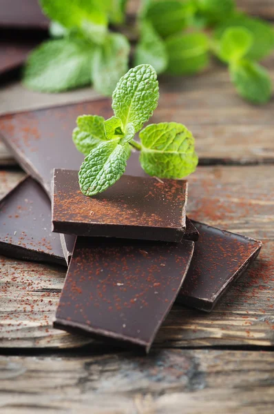 Chocolate escuro com hortelã verde — Fotografia de Stock