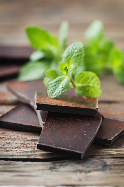 Темный шоколад с зеленой мятой — стоковое фото