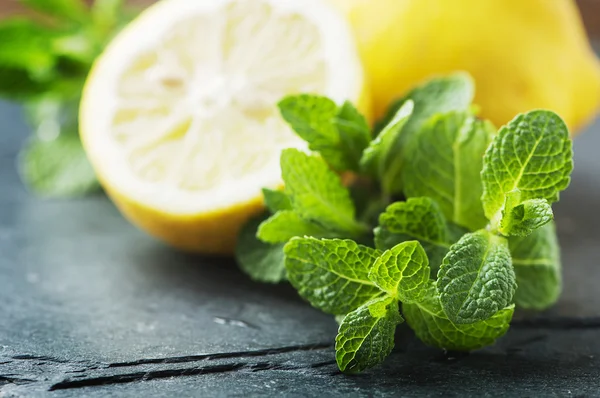 Čerstvé sladké citronové a zelené máty — Stock fotografie