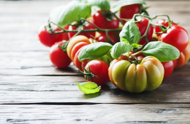 fesleğen yaprakları ve domates