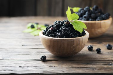 Yabani böğürtlen kase