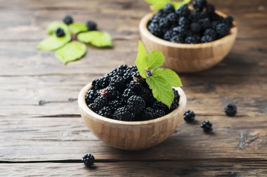 Yabani böğürtlen kase