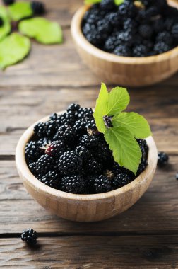 Yabani böğürtlen kase