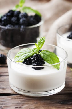 Ev yapımı yoğurt böğürtlen ile