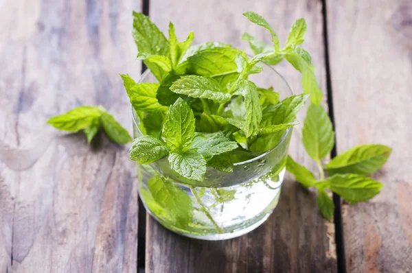 Menta fresca in vetro — Foto Stock