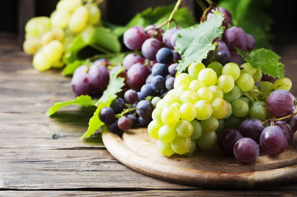 Uvas negras y blancas —  Fotos de Stock