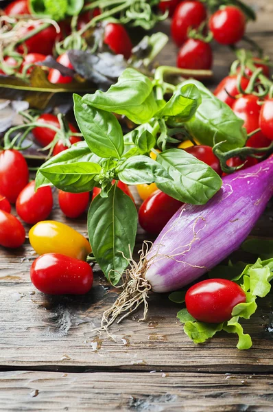 Ingredients for vegan salad — Stock Photo, Image