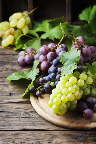 Black and white grapes — Stock Photo, Image