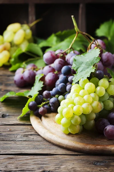 Black and white grapes — Stock Photo, Image