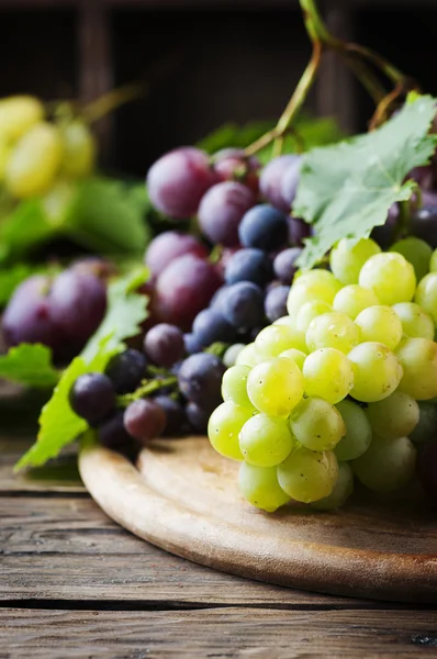 Black and white grapes — Stock Photo, Image