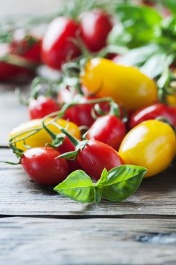 taze domates ve fesleğen