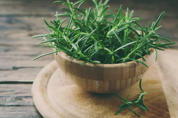 Rosemary segar dalam mangkuk — Stok Foto