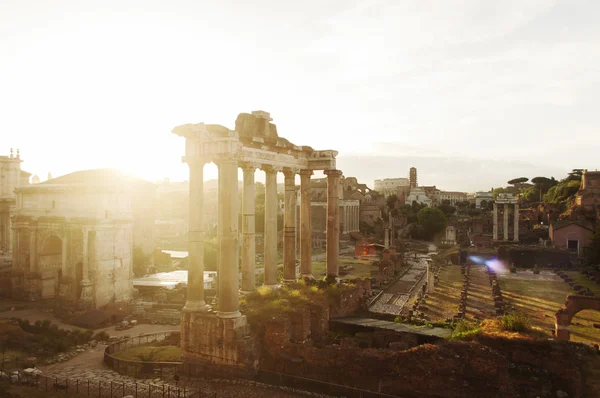 Roman Forum under sunrise — Stockfoto