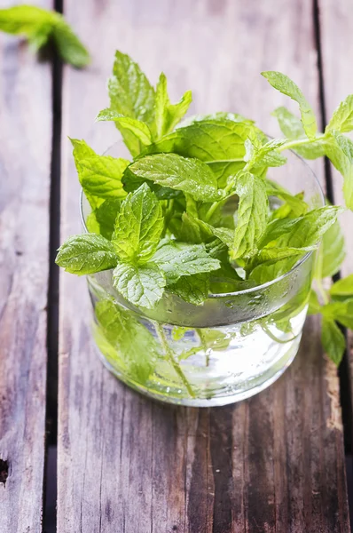 Frische Minze im Glas — Stockfoto