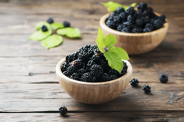 Wild blackberries in bowls — Stock Photo, Image