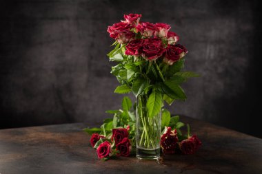 Koyu arkaplanda kırmızı yabani güller, seçici odak resmi