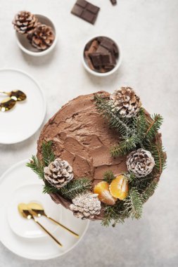 Çam kozalaklarıyla süslenmiş Noel pastası ve arka planda çam ağacı, seçici odak görüntüsüyle tepeden aşağı manzara