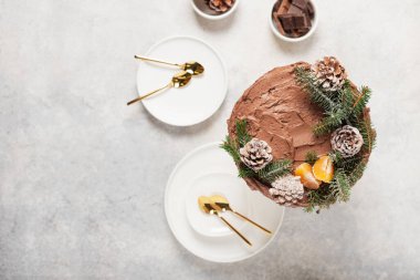 Çam kozalaklarıyla süslenmiş Noel pastası ve arka planda çam ağacı, seçici odak görüntüsüyle tepeden aşağı manzara