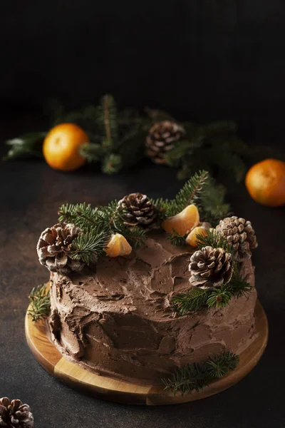 Weihnachtskuchen Mit Schokolade Dekoriert Mit Tannenzapfen Und Tannenbaum Selektives Fokusbild — Stockfoto