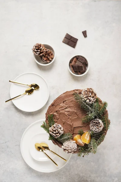 Рождественский Торт Шоколадом Украшенный Сосновыми Шишками Соснами Светлом Фоне Вид — стоковое фото